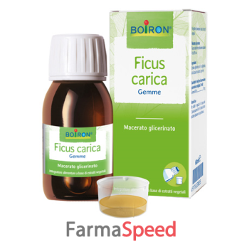 ficus carica macerato glicerico 60 ml int