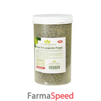 grani lungavita fiuggi 1 kg