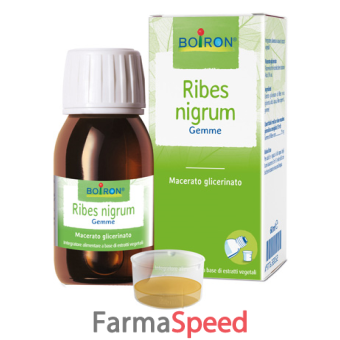 ribes nigrum macerato glicerico 60 ml int