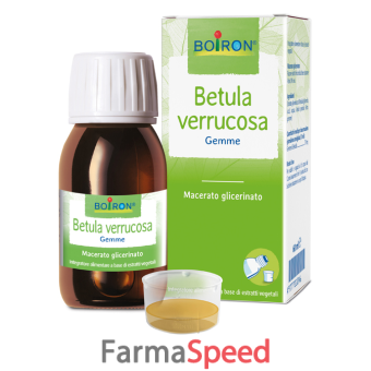 betula verruco macerato glicerico 60 ml int