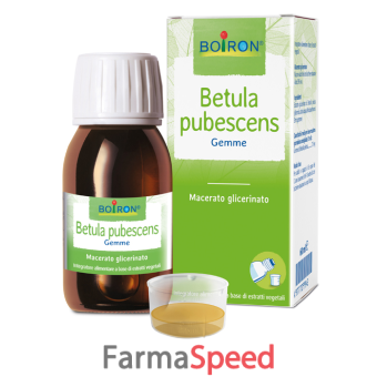 betula pubescens macerato glicerico 60 ml int