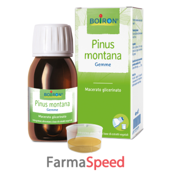 pinus montana macerato glicerico 60 ml int