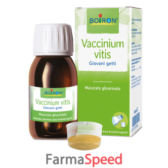 vaccinium vitis macerato glicerico 60 ml