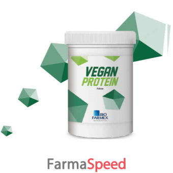 vegan protein 500 g