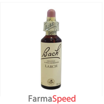  larch bach center 20ml