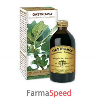 gastromix liquido analcolico 100 ml