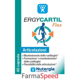 ergycartil flex 60 capsule