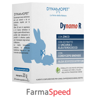 dynamo r 20 bustine da 2 g