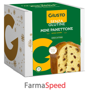 giusto senza glutine mini panettone classico 100 g