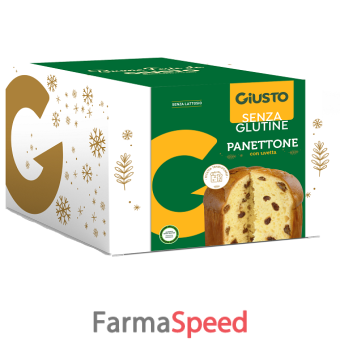 giusto senza glutine panettone 500 g