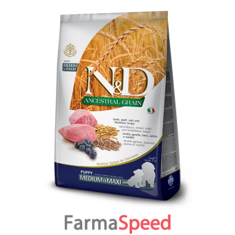 n&d low grain dog lamb & blueberry puppy medium-maxi 12 kg