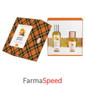 i profumi della casa set agrumi speziati 1 fragranza ambiente spray 100 ml + bastoncini aromatici ambiente 100 ml