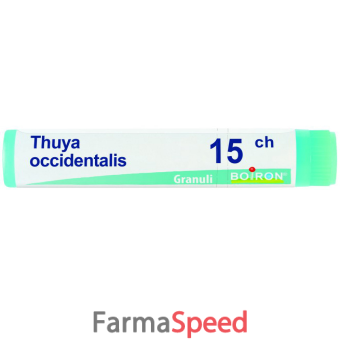 thuya occident 15ch gl