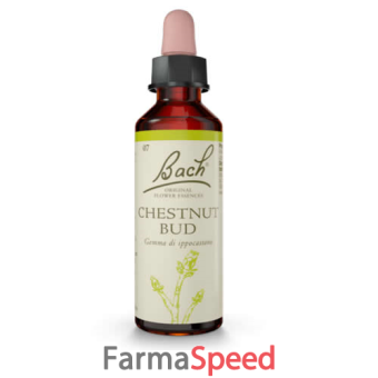 chestnut bud bach original 20 ml