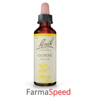 gorse bach original 20 ml