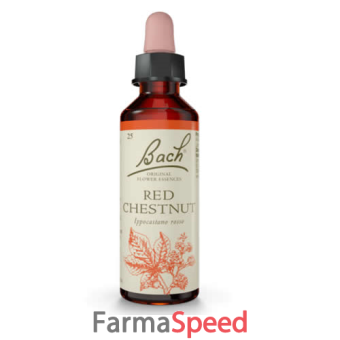 red chestnut bach original 20 ml