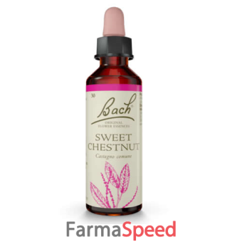 sweet chestnut bach original 20 ml