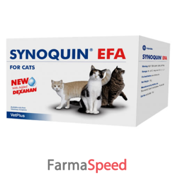 synoquin efa cat 30 capsule