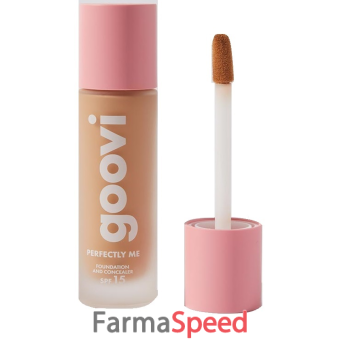 goovi foundation & concealer 12