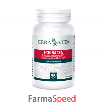 echinacea 60 capsule