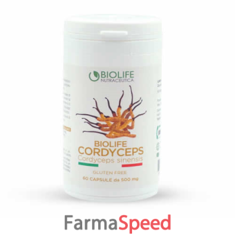 biolife cordyceps 60 capsule