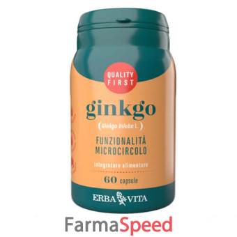 ginkgo 60 capsule