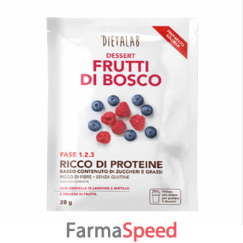 dietalab dessert frutti di bosco 28 g