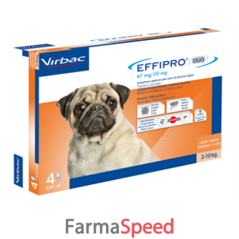 effipro duo*4pip 2-10kg cani