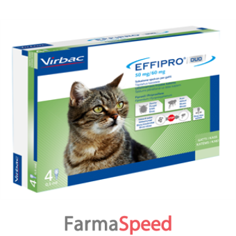 effipro duo*4pip 1-6kg gatti