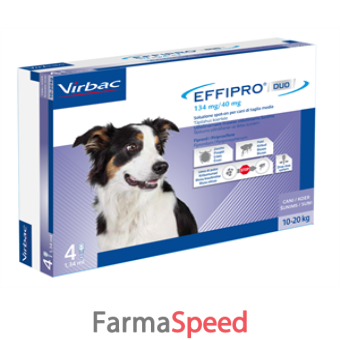 effipro duo*4pip 10-20kg cani