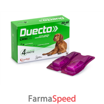 duecto*4pip 20-40kg cani