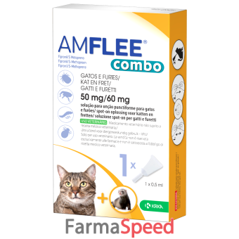 amflee combo*1pip gatti/furett