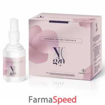 v gyn lavanda interna 6 flaconi x 150 ml